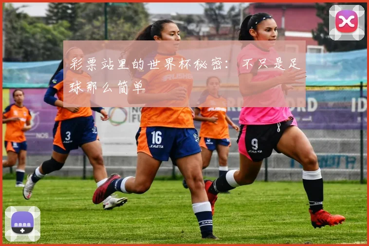 彩票站里的世界杯秘密：不只是足球那么简单