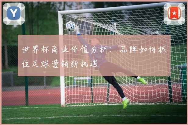 世界杯商业价值分析：品牌如何抓住足球营销新机遇