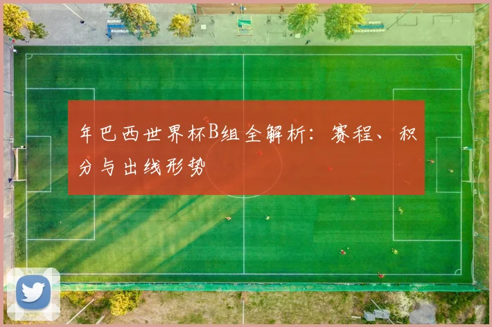 年巴西世界杯B组全解析：赛程、积分与出线形势
